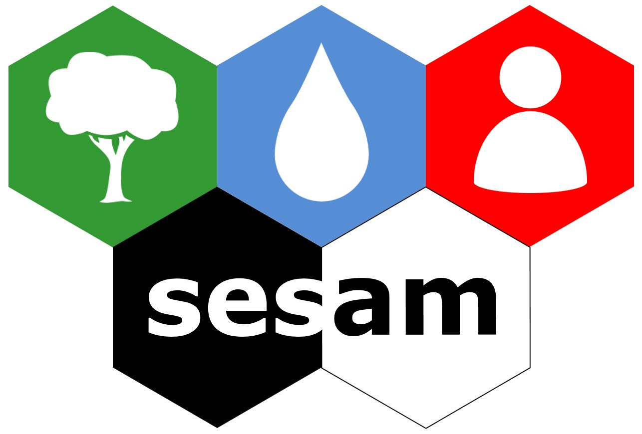 SESAM logo
